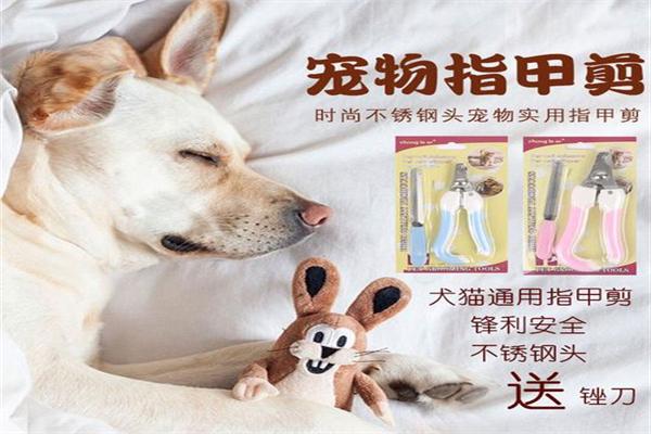 顽皮宠物用品