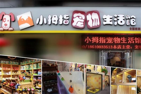 小拇指宠物生活馆