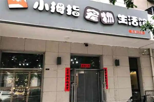 小拇指宠物生活馆