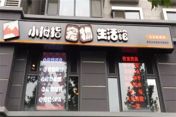小拇指宠物生活馆