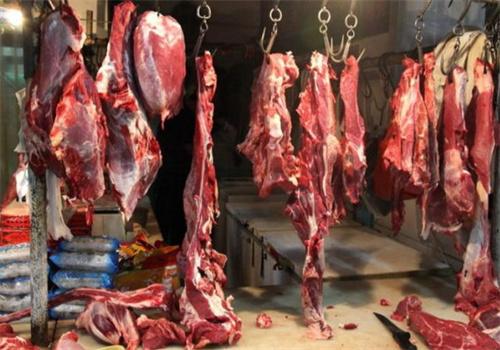 鲜牛羊肉店