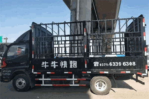 牛牛快跑带车加盟