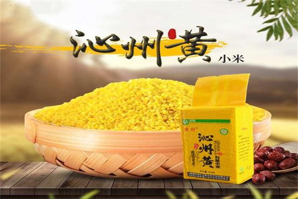 沁州黄小米