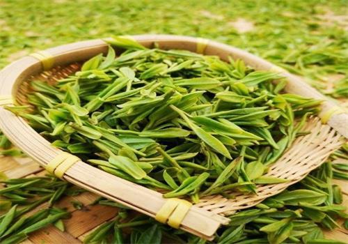 叙府茶叶