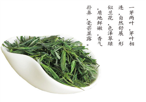 叙府茶叶