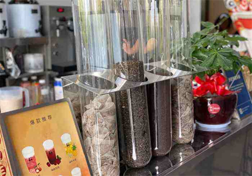 热鸟茶研究所
