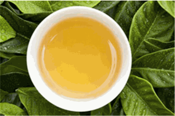 天林茶叶加盟