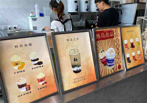 热鸟茶研究所