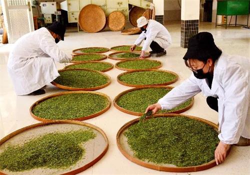 水品元茶业