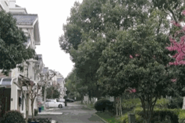 绿欣苑加盟