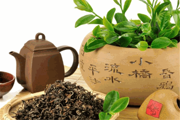 陆羽会茶叶加盟