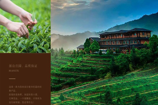 陆羽会茶叶加盟