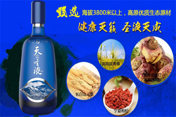 泸州老窖天之圣液加盟