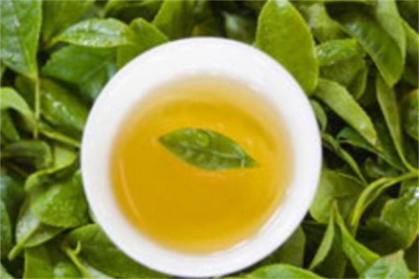 天鼎茶叶