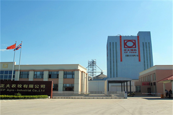 正大康地饲料