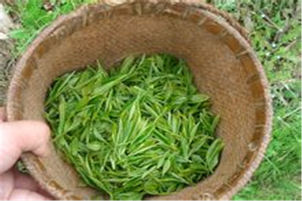 遇见福茶加盟