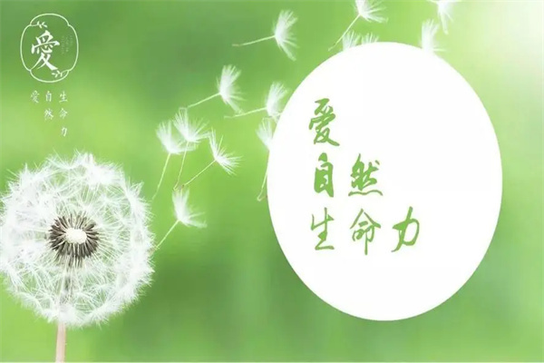 爱自然生命力