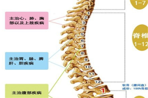 脊动力健康管理中心