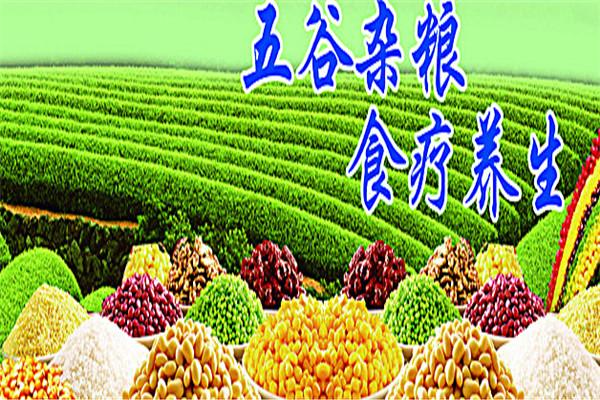 五谷现磨坊加盟
