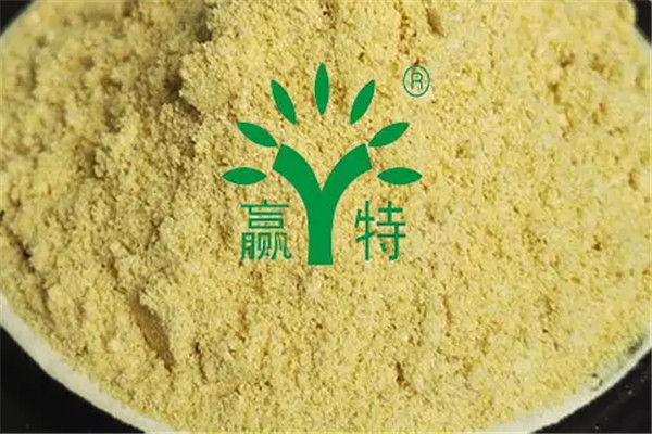 赢特食品加盟