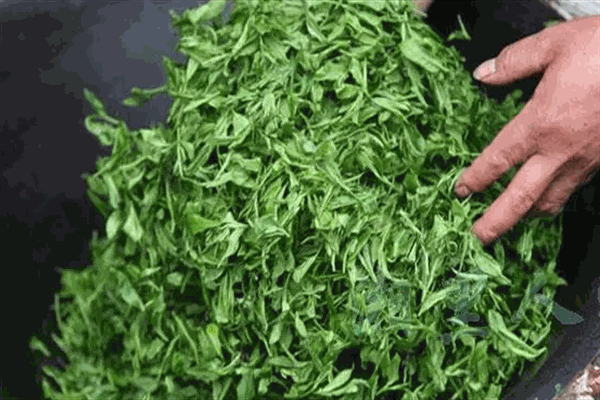 益阳茶叶加盟