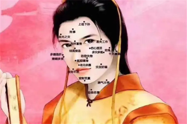 痣会堂加盟
