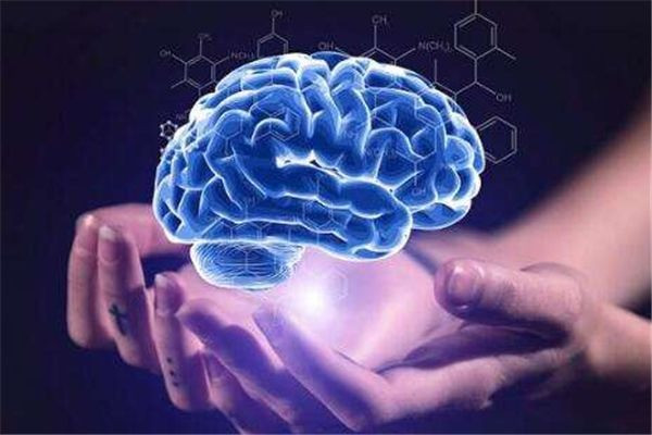 中成启元全脑潜能开发