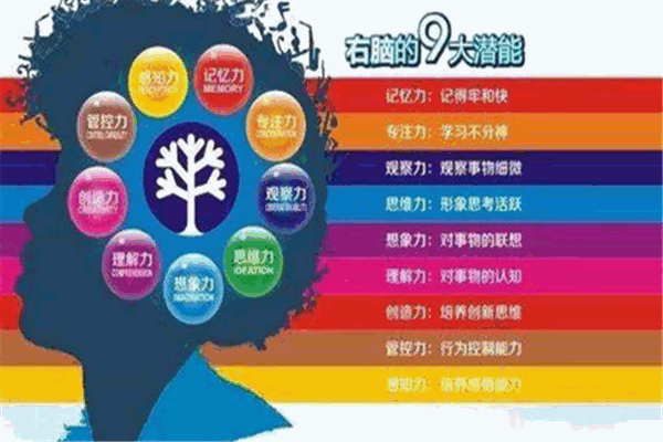 中成启元全脑潜能开发