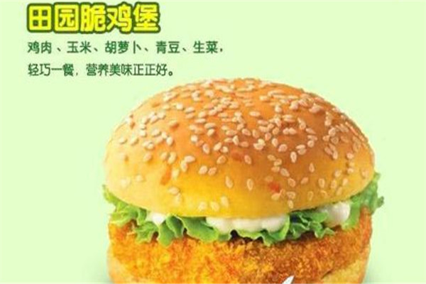 迪乐士汉堡加盟