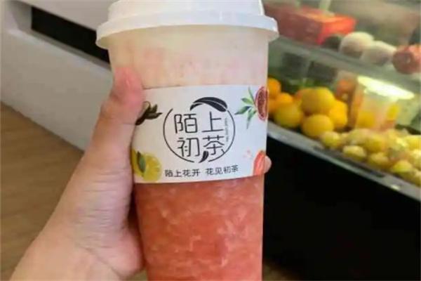 陌上初茶