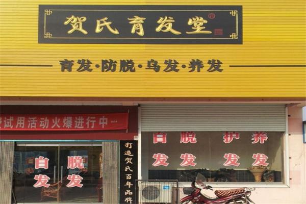 贺氏养发