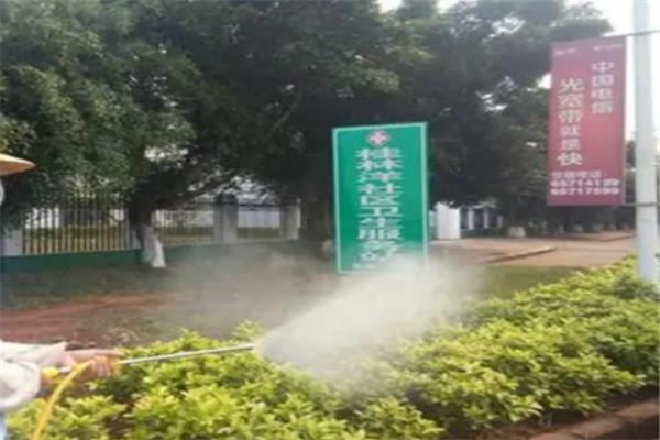 山古虫