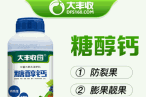大丰收农资加盟