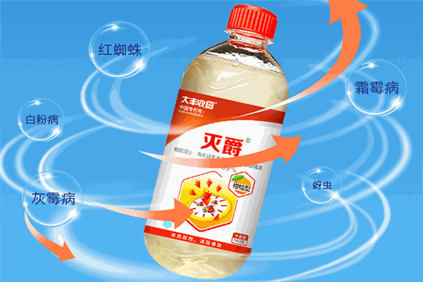 大丰收农资加盟