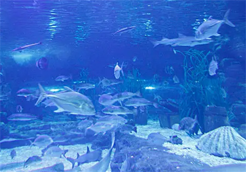 扬子水族馆