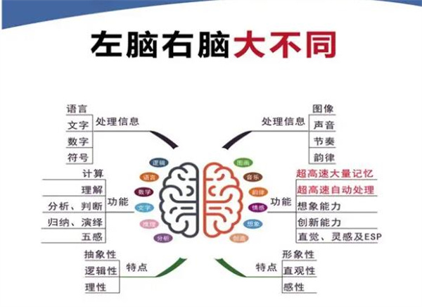 亿多星全脑开发