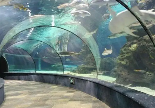 扬子水族馆