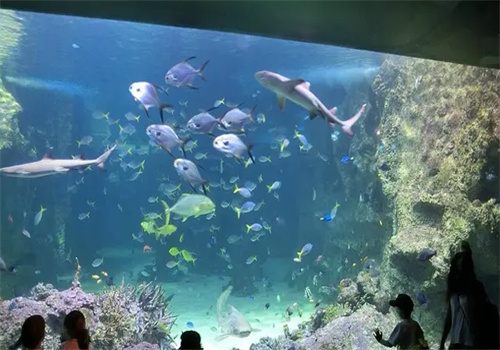 扬子水族馆