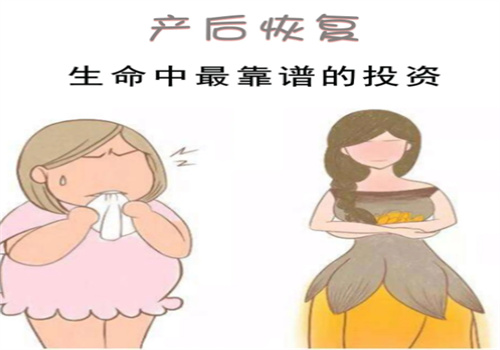知月鸟产后恢复