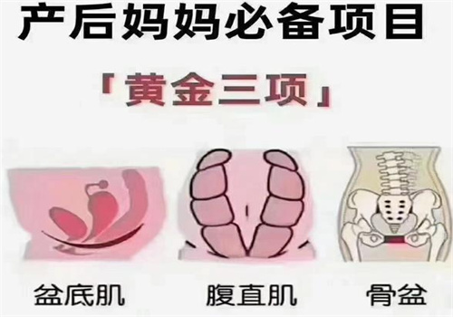 知月鸟产后恢复