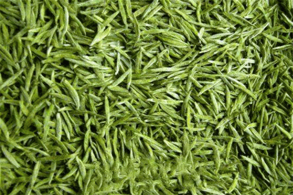 茗品印象茶叶加盟