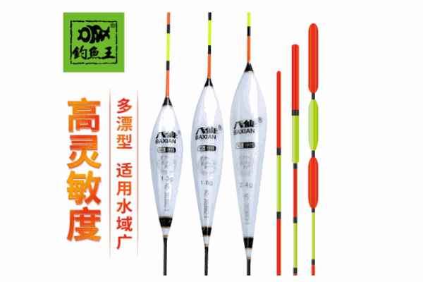 钓鱼王渔具店
