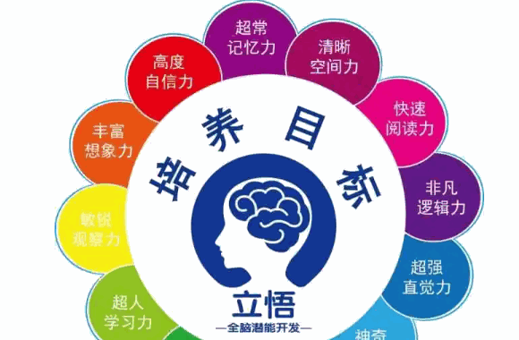 立悟全脑潜能开发怎么样?