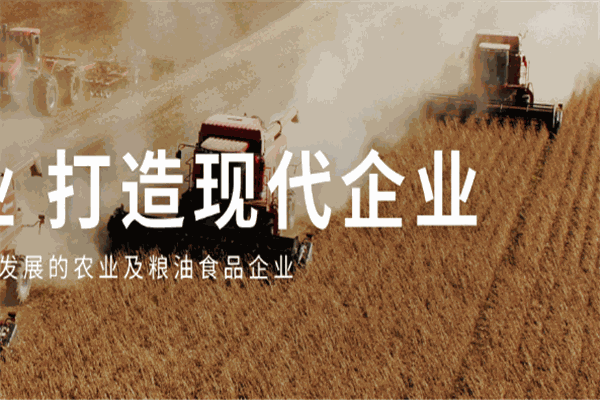 中粮米面油加盟