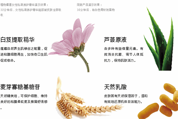 植物耀素个人护理加盟