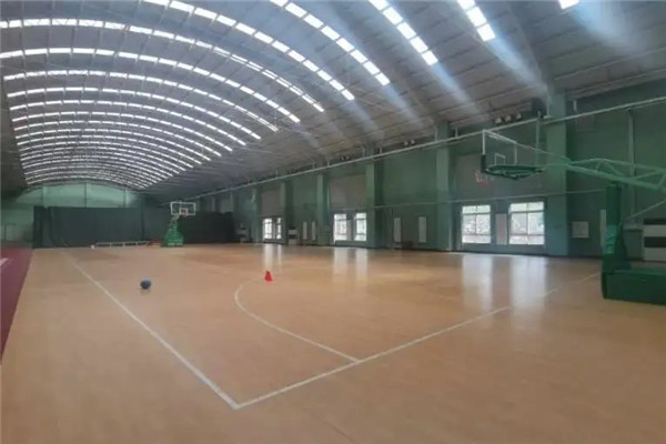 路人王篮球