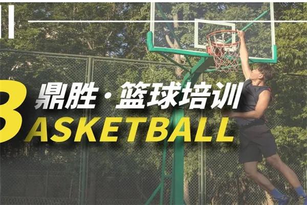 鼎胜青少年篮球训练营