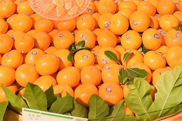鲜丰水果店加盟