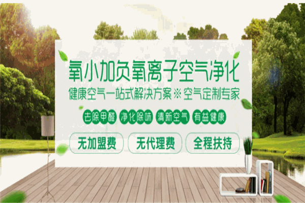 氧小加空气净化