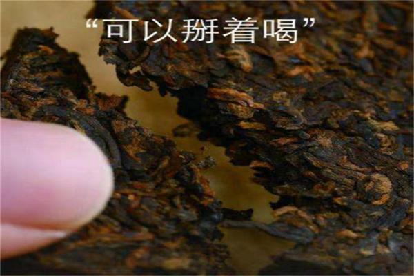 雨林茶叶